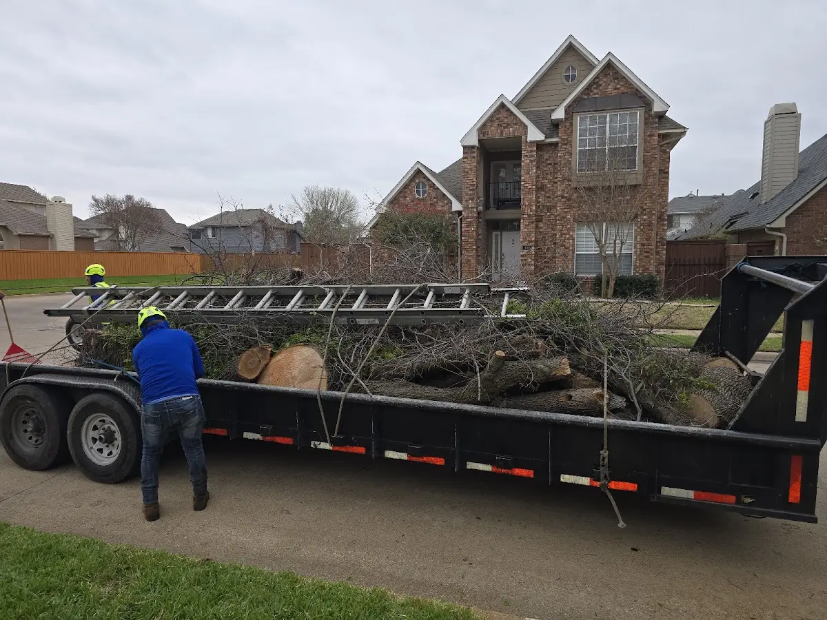 Expert Tree Fertilization with proper safety equipment in White Mountain Lake